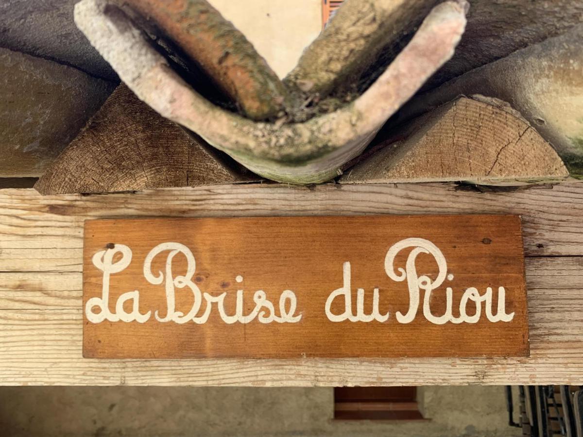 La Brise, Provenzialisches In Vence, Cote D'azur, Fuer 6-8 Personen *