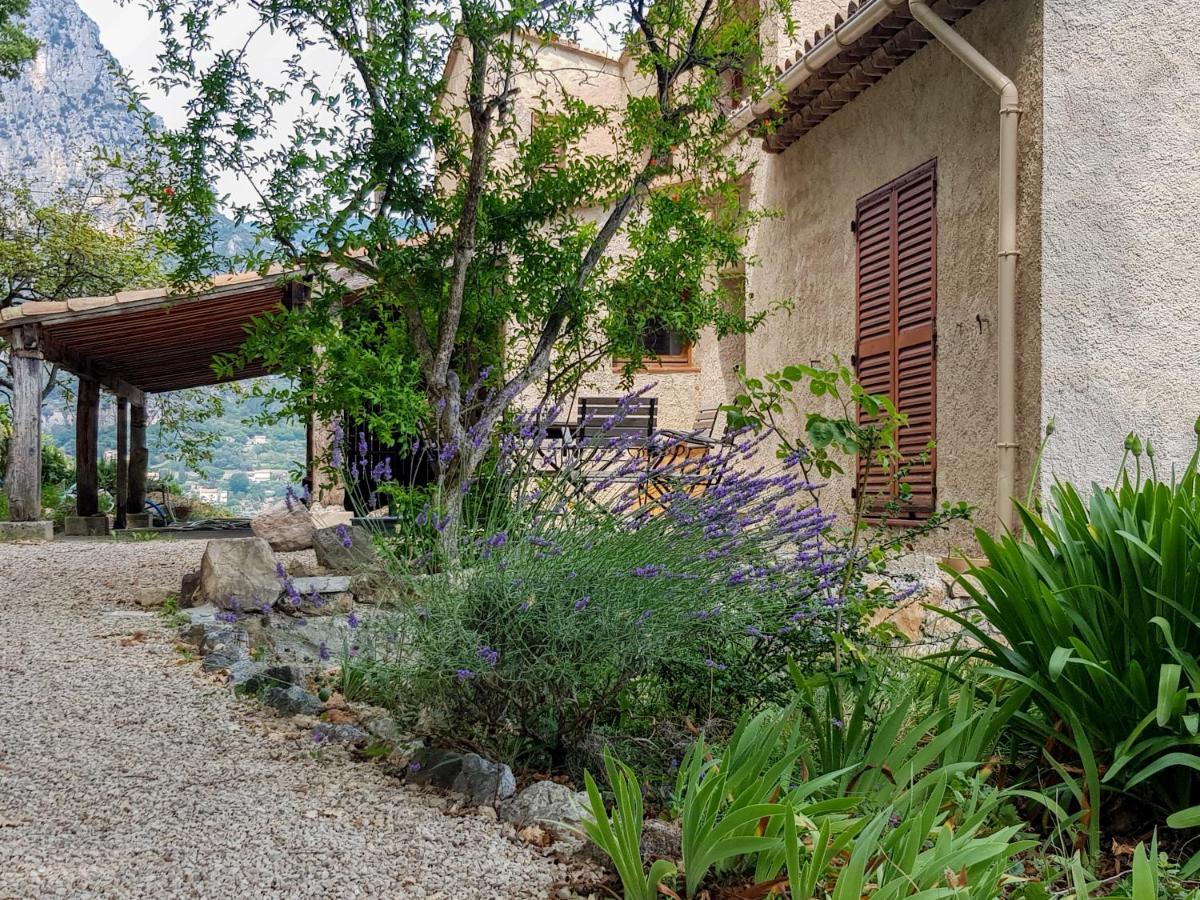 La Brise, Provenzialisches In Vence, Cote D'azur, Fuer 6-8 Personen *