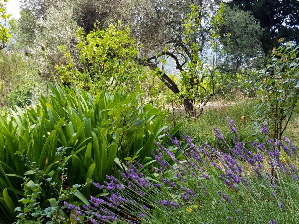 Appartement La Brise, Provenzialisches In Vence, Cote D'azur, Fuer 6-8 Personen *